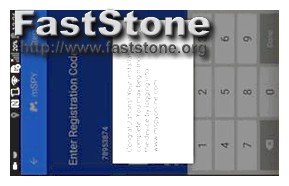 Can I Install Mspy Remotely